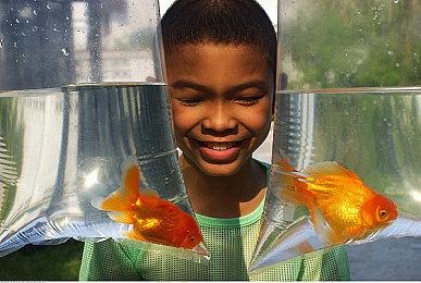 动视CEO谈被微软收购：需要Xbox帮助对抗竞争对手